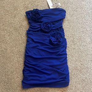 Zara NWT Rushing Dress size Large ( fits snug)